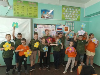 Видеовикторина Полевые цветы